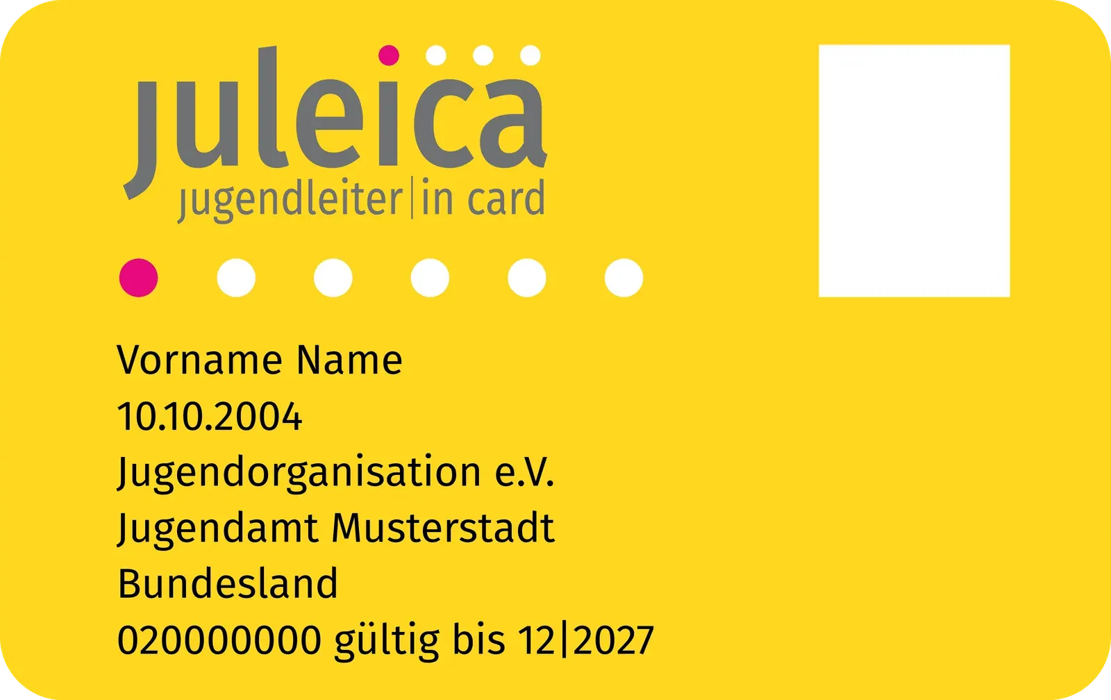 Beispielhafte Juleica-Karte (Musterkarte, keine echten Personendaten)