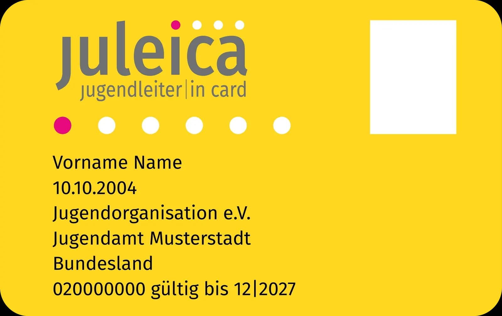 Beispielhafte Juleica-Karte (Musterkarte, keine echten Personendaten)